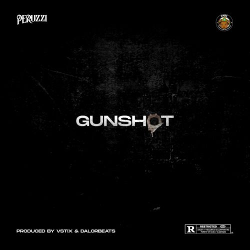 Peruzzi – Gunshot [AuDio]